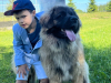 AmoreMia_litterK_20250308-2