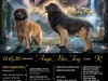 Poster_AmoreMia_litterK_20260603